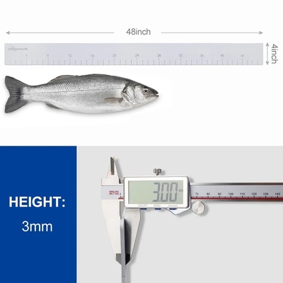 Accesorios para embarcaciones EVA esencial de pesca de regla con adhesivo de respaldo medidas precisas