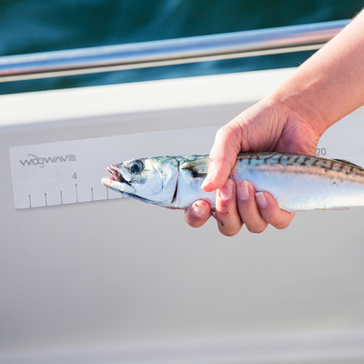 Woowave Marine EVA espuma del barco de pescado regla de medida de color y tamaño personalizado para la pesca